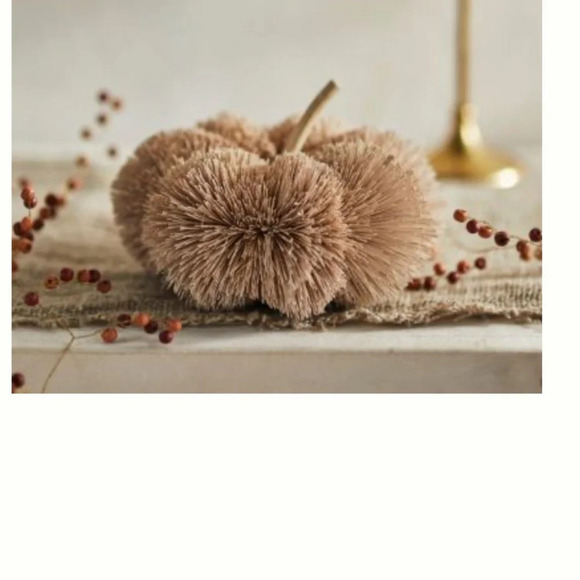 NWT ANTHROPOLOGIE TERRAIN Beige  BRUSH BOTTLE PUMPKIN - Picture 1 of 6
